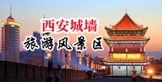淫荡美女吃人妖大鸡巴操逼视频中国陕西-西安城墙旅游风景区