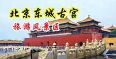 他的鸡鸡插入我的逼，视频中国北京-东城古宫旅游风景区